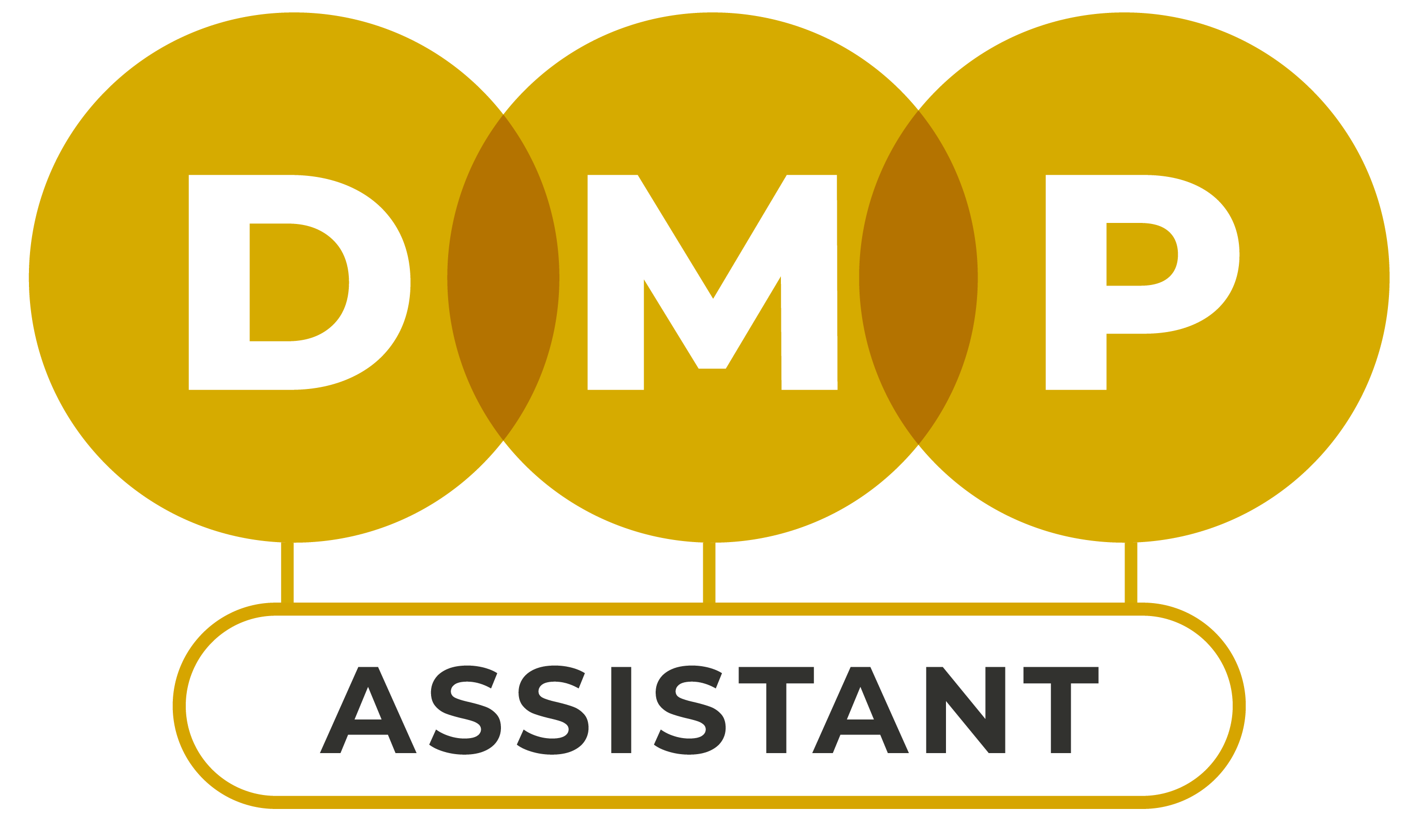 DMP Assistant logo